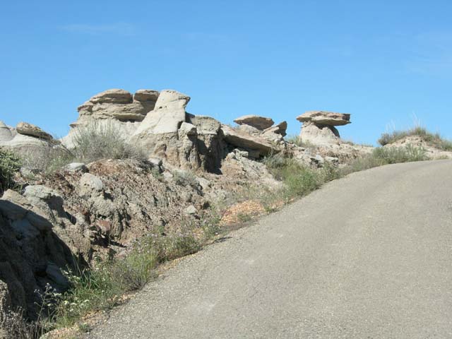 DSCN0136