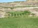 DSCN0134