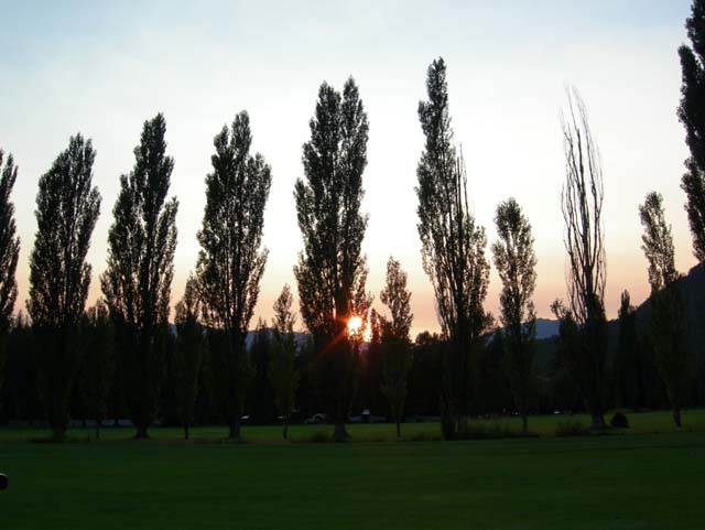 DSCN1394