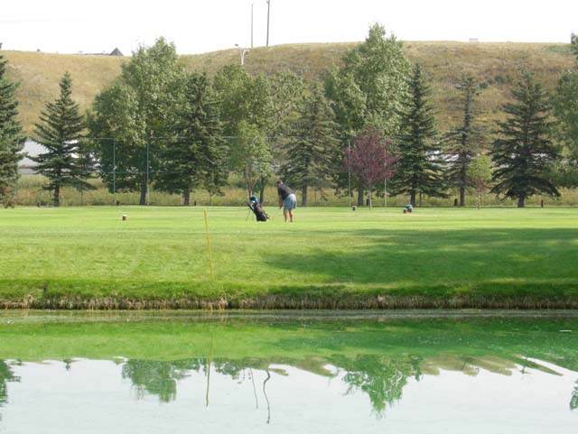 DSCN1464