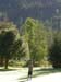 DSCN3193