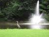 Picture_037