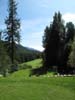 Picture_069