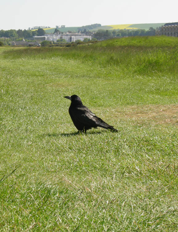 DSCN3711