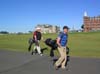 DSCN3678
